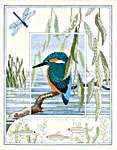 Kingfisher