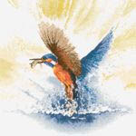 Click for more details of Kingfisher in Flight (cross stitch) by John Clayton