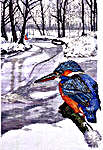 Click for more details of Kingfisher in Winter (cross stitch) by Permin of Copenhagen