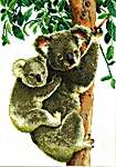 Click for more details of Koala with Baby (cross stitch) by Vervaco