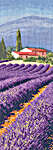 Lavender Fields