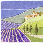 Lavender Fields