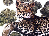 Click for more details of Lazy Leopard (cross stitch) by X's & Oh's