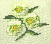 Click for more details of Lenten Roses (cross stitch) by Anne Peden