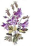 Click for more details of Les Fleurs (cross stitch) by Ginger & Spice