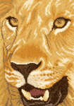 Click for more details of Lion in Close Up (cross stitch) by Lanarte