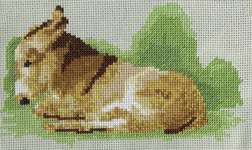 Click/tap for more details of Little Donkey (cross stitch) by Anne Peden