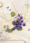 Love Letters and Violets