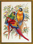 Macaws - 26 count linen