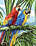 Macaws - Canvas with 59 skeins of Anchor cottons