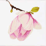Click for more details of Magnolia Bud (cross stitch) by Lanarte