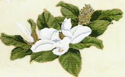 Click for more details of Magnolia (cross stitch) by Barbara & Cheryl