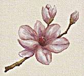 Click for more details of Magnolia (cross stitch) by Bella Filipina