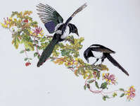 Click for more details of Magpies & Honeysuckle (cross stitch) by Thea Gouverneur