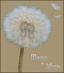 Click for more details of Make a Wish (cross stitch) by DoodleCraft Design