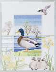 Click for more details of Mallard (cross stitch) by Rose Swalwell