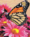 Click for more details of Monarch Beauty (cross stitch) by Kustom Krafts