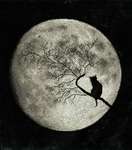 Click for more details of Moon Sonata (cross stitch) by Golden Fleece