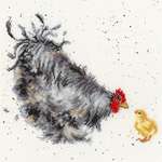 Click for more details of Mother Hen (cross stitch) by Bothy Threads