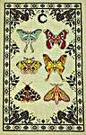 Click/tap for more details of Moths and the Moon (cross stitch) by Tiny Modernist