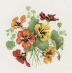 Click for more details of Nasturtium Posy (cross stitch) by Valerie Pfeiffer