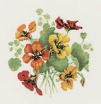 Nasturtium Posy - 14 count Aida