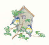 Click for more details of Nesting Box (cross stitch) by Sue Hill