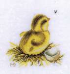 Newly Hatched Chick with Eggshell