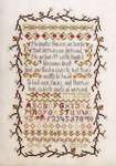 Click/tap for more details of No Dainte Flower (cross stitch) by Rosewood Manor