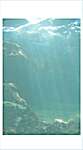 Click/tap for more details of Ocean Cove - 16 count Aida (fabric) by Fabric Flair
