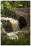 Click for more details of Old Water in Spate (photograph) by Margaret Elliot