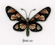 Click for more details of Orange Butterfly (cross stitch) by Vervaco