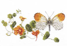 Click for more details of Orange Tipped Butterfly with Nasturtiums (cross stitch) by Thea Gouverneur