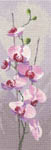 Click for more details of Orchid Panel (cross stitch) by John Clayton