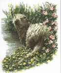 Click for more details of Otter (cross stitch) by John Stubbs