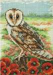Click for more details of Owl (cross stitch) by Anchor