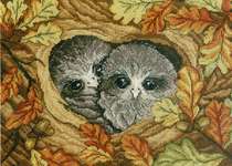 Owls