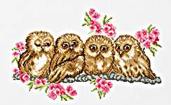 Owls