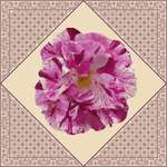 Click/tap for more details of Painted Rose (cross stitch) by DoodleCraft Design