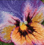 Click for more details of Pansy - Blue and Yellow (cross stitch) by Thea Gouverneur