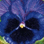 Click for more details of Pansy - Dark Blue (cross stitch) by Thea Gouverneur