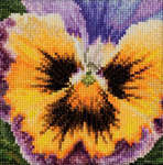 Click for more details of Pansy - with a Yellow Face (cross stitch) by Thea Gouverneur