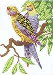 Click for more details of Parrots (cross stitch) by Kappie Originals