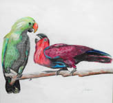 Click for more details of Parrots (watercolour pencil) by Julie Peden