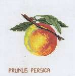 Click for more details of Peach (cross stitch) by Eva Rosenstand