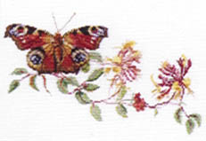 Peacock Butterfly and Honeysuckle