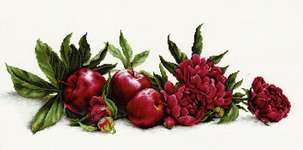 Peonies and Red Apples