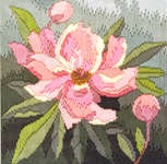 Click for more details of Peony (long-stitch) by Rose Swalwell