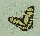 Click for more details of Peruvian Malachite Butterfly (cross stitch) by Anne Peden