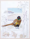 Click for more details of Pheasant (cross stitch) by Rose Swalwell